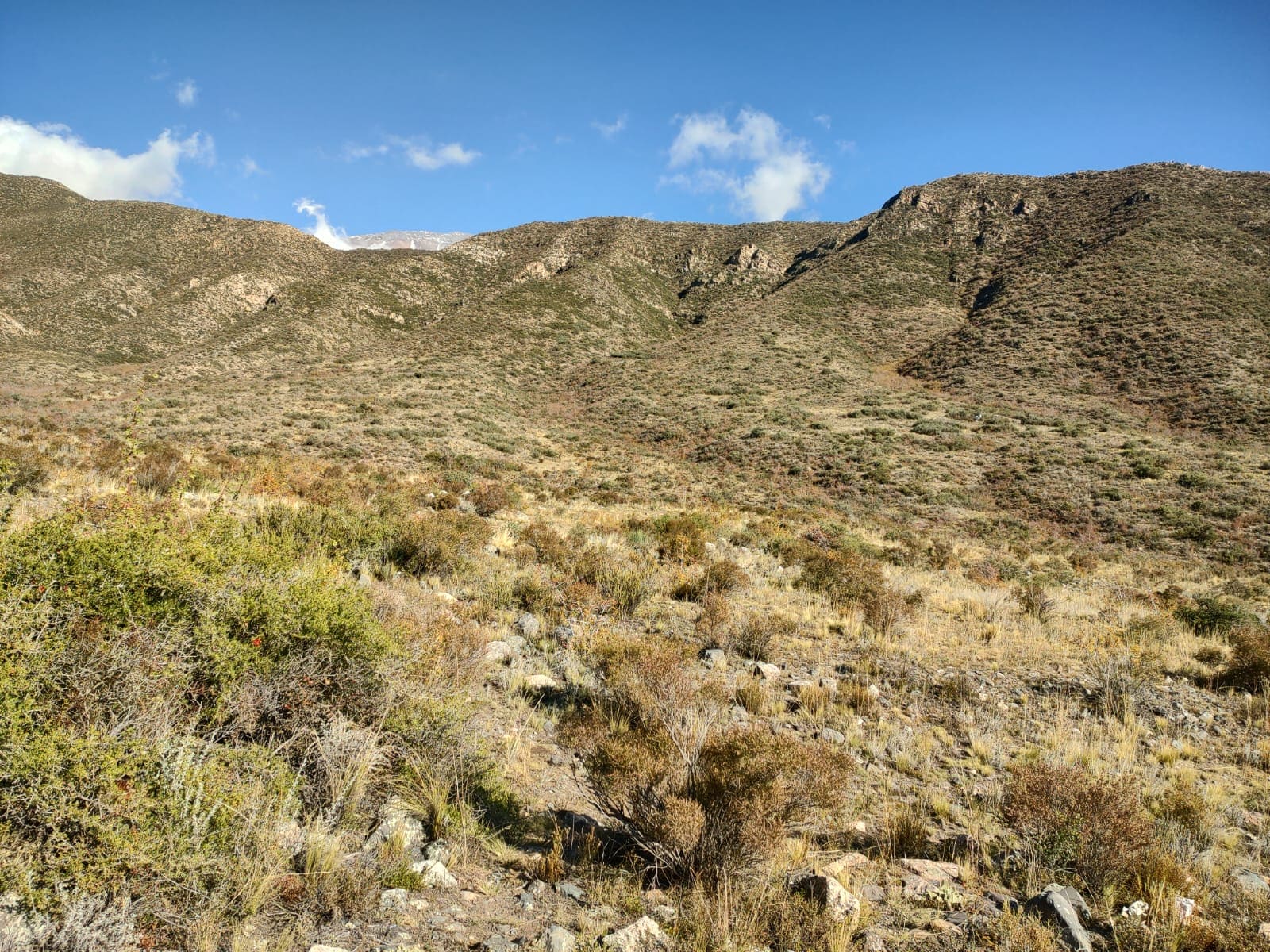 Lote, con agua, proyecto, inversión, oportunidad,  vistas